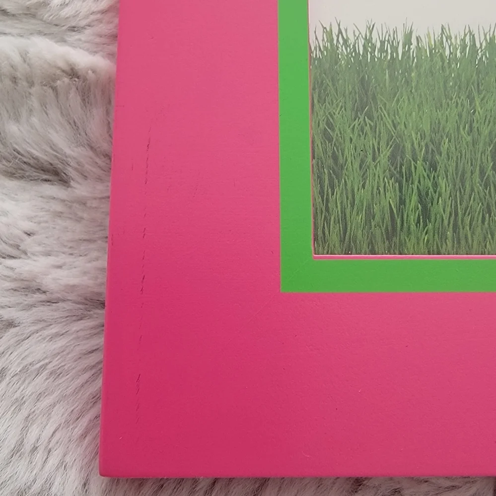 NWT 5 Photo Frames for girls